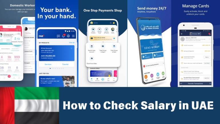 how-to-check-salary-in-uae